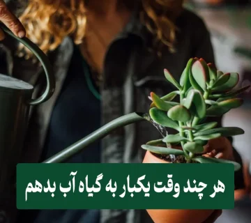 آبیاری گیاهان